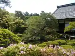 等持院の庭園