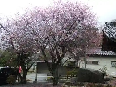 長田神社の自然