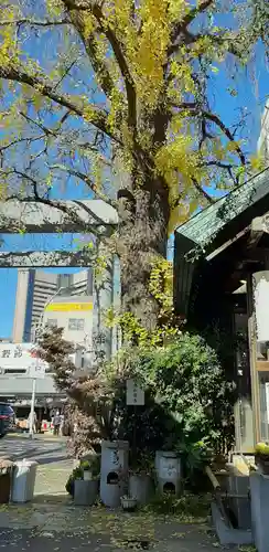 波除神社（波除稲荷神社）の自然
