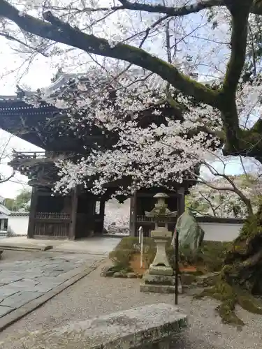 粉河寺の山門・神門