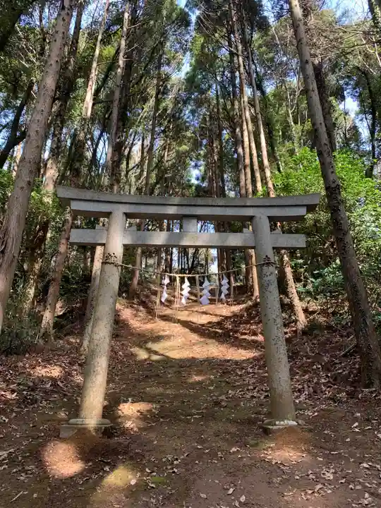 大日天子(千葉県)