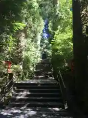 箱根神社の建物その他