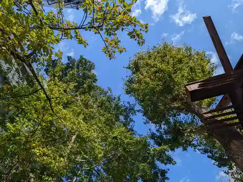 高円寺氷川神社の自然