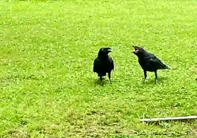 志波彦神社・鹽竈神社(宮城県)