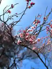 眞田神社(長野県)