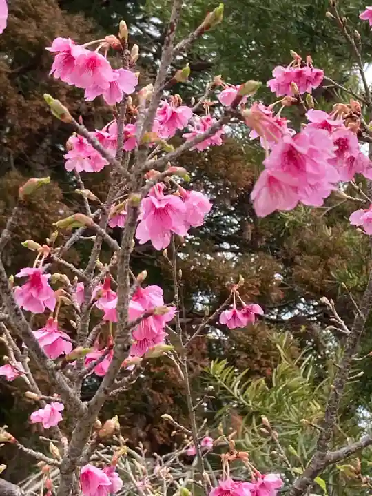 榎原神社の自然