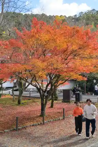 南禅寺(京都府)