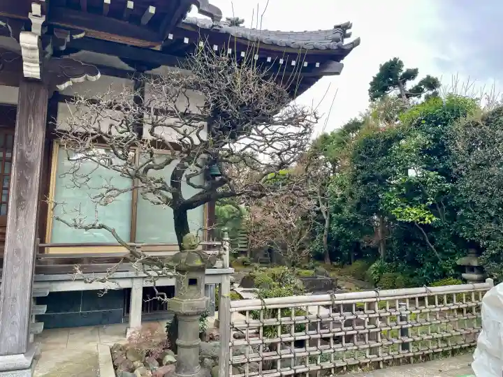 浄桂院の{uncategorized: "未分類", other: "その他", undefined: "問題あり", building: "その他建物", grave: "お墓", sacred_gate: "鳥居", guardian: "狛犬", statue: "像", buddha: "仏像", history: "歴史", nature: "自然", garden: "庭園", animal: "動物", pagoda: "塔", temizu: "手水舎", mountain_gate: "山門・神門", sanctuary: "本殿・本堂", subordinate: "末社・摂社", art: "芸術", scenery: "景色", jizo: "地蔵", ema: "絵馬", goshuin: "御朱印", omikuji: "おみくじ", items: "授与品その他", amulet: "お守り", goshuincho: "御朱印帳", eats: "食事", festival: "お祭り", votive_dance: "神楽", shichigosan: "七五三参", wedding: "結婚式", experience: "体験その他", initially: "初詣", around: "周辺", anti_infection: "感染症対策"}