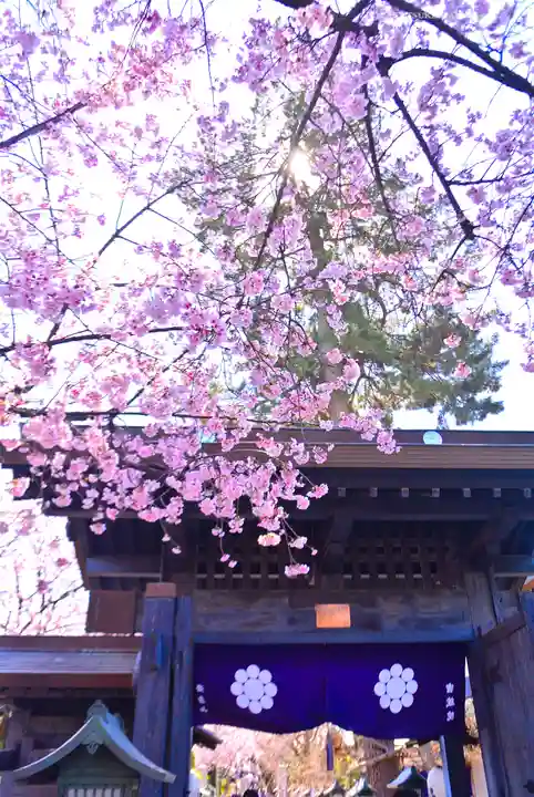 密藏院(埼玉県)