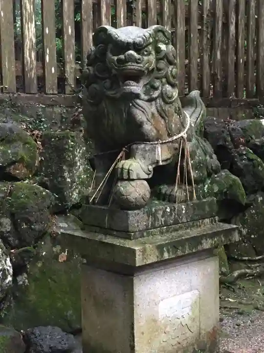 阿射加神社の狛犬