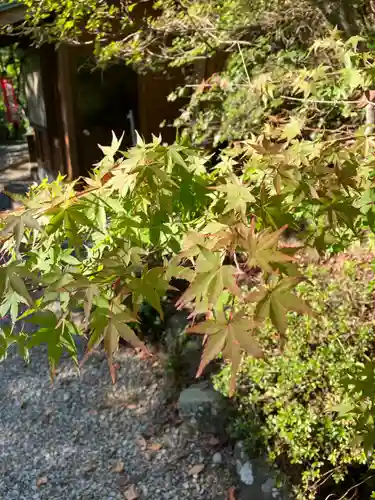 救馬溪観音(和歌山県)