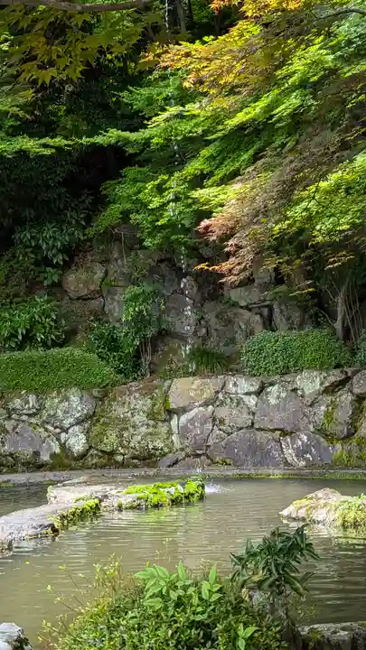 善峯寺(京都府)