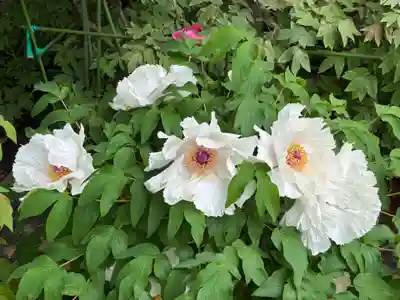 観音寺(徳島県)