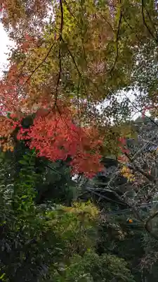 尊勝院(京都府)
