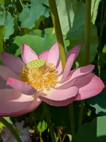 霊泉寺(岐阜県)