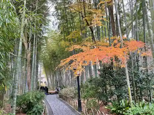 修禅寺(静岡県)
