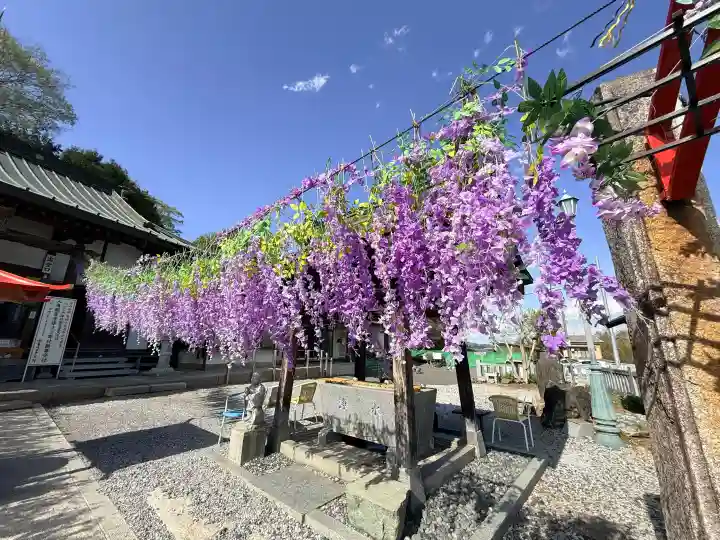 寺岡山元三大師の{uncategorized: "未分類", other: "その他", undefined: "問題あり", building: "その他建物", grave: "お墓", sacred_gate: "鳥居", guardian: "狛犬", statue: "像", buddha: "仏像", history: "歴史", nature: "自然", garden: "庭園", animal: "動物", pagoda: "塔", temizu: "手水舎", mountain_gate: "山門・神門", sanctuary: "本殿・本堂", subordinate: "末社・摂社", art: "芸術", scenery: "景色", jizo: "地蔵", ema: "絵馬", goshuin: "御朱印", omikuji: "おみくじ", items: "授与品その他", amulet: "お守り", goshuincho: "御朱印帳", eats: "食事", festival: "お祭り", votive_dance: "神楽", shichigosan: "七五三参", wedding: "結婚式", experience: "体験その他", initially: "初詣", around: "周辺", anti_infection: "感染症対策"}