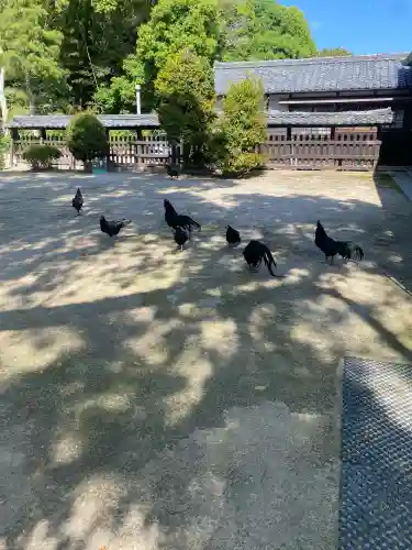 玉祖神社(山口県)
