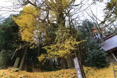 乙宿禰神社の自然