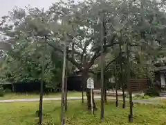 城福寺(福井県)