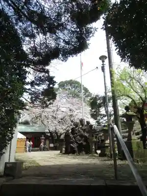 前原御嶽神社のその他建物