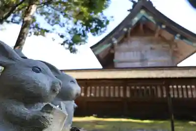 出雲大社(島根県)