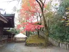 唐澤山神社の建物その他