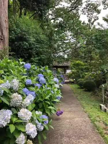 大聖寺（土浦大師不動尊）のその他建物