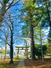 岡見八坂神社の鳥居