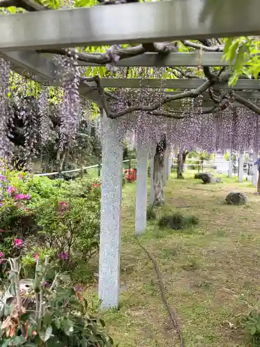 三大神社の{uncategorized: "未分類", other: "その他", undefined: "問題あり", building: "その他建物", grave: "お墓", sacred_gate: "鳥居", guardian: "狛犬", statue: "像", buddha: "仏像", history: "歴史", nature: "自然", garden: "庭園", animal: "動物", pagoda: "塔", temizu: "手水舎", mountain_gate: "山門・神門", sanctuary: "本殿・本堂", subordinate: "末社・摂社", art: "芸術", scenery: "景色", jizo: "地蔵", ema: "絵馬", goshuin: "御朱印", omikuji: "おみくじ", items: "授与品その他", amulet: "お守り", goshuincho: "御朱印帳", eats: "食事", festival: "お祭り", votive_dance: "神楽", shichigosan: "七五三参", wedding: "結婚式", experience: "体験その他", initially: "初詣", around: "周辺", anti_infection: "感染症対策"}