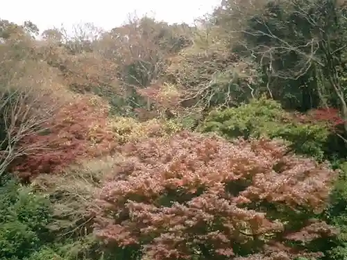 安國論寺（安国論寺）の自然