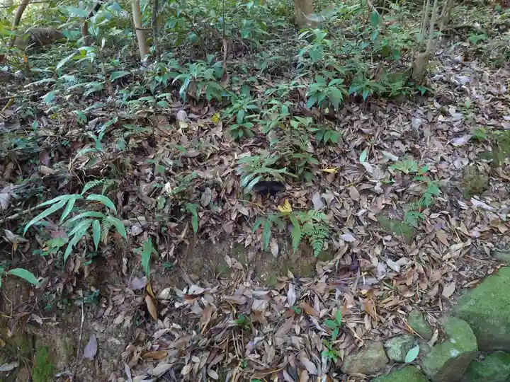 宇佐神宮(大分県)