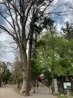 八幡神社のその他建物