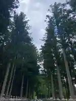 高野山金剛峯寺奥の院(和歌山県)
