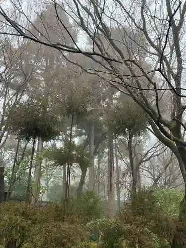 龍安寺(京都府)