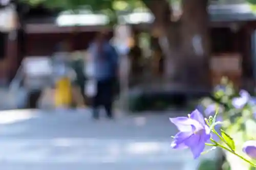 晴明神社(京都府)