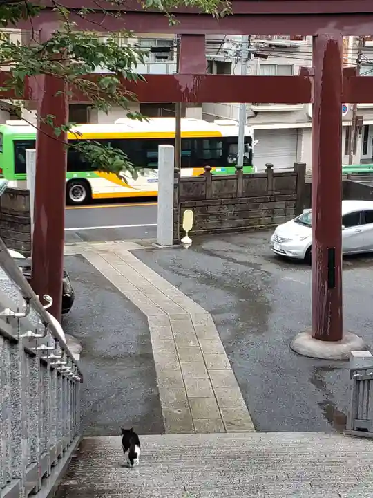 白金氷川神社(東京都)