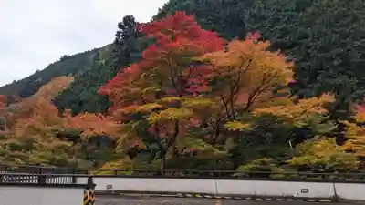 善峯寺(京都府)