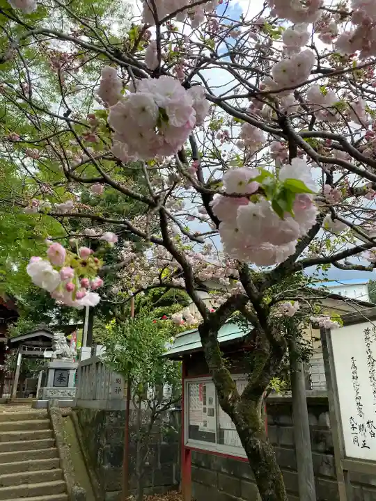 比比多神社(子易明神)(神奈川県)