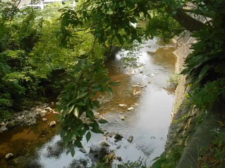 蛭子神社の自然