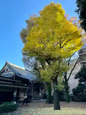 蓮乗寺(東京都)