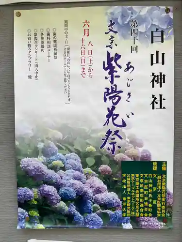 白山神社(東京都)