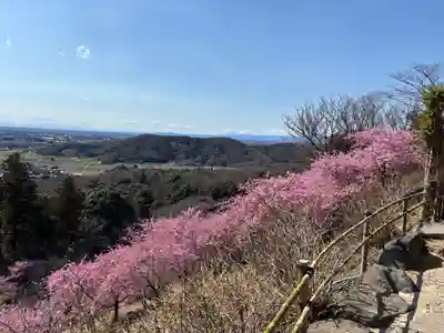 楽法寺（雨引観音）(茨城県)