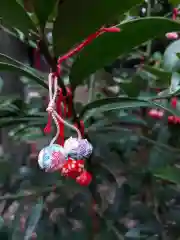 赤坂氷川神社のおみくじ