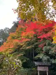 三千院門跡(京都府)