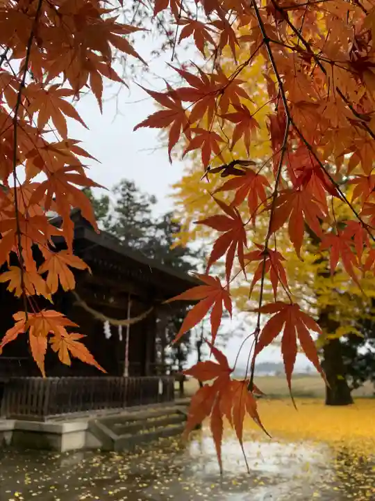 桜町二宮神社の本殿・本堂