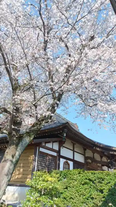 無量壽院(千葉県)