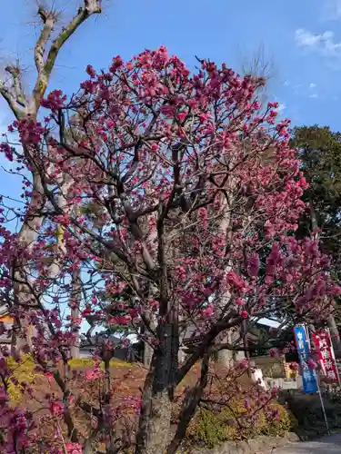 中野沼袋氷川神社(東京都)