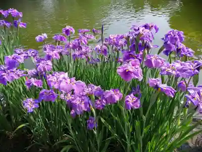 伊佐須美神社(福島県)