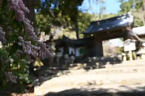 西明寺(京都府)